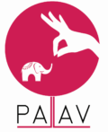 Pallav Boutique